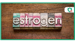 Estrogen