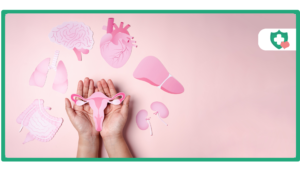 Tirzepatide and Menstrual Cycle