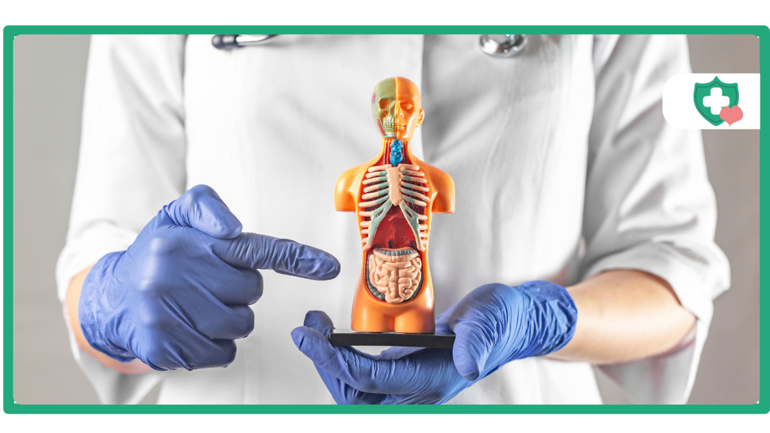 What Does Tirzepatide Treatment Do to Your Body?