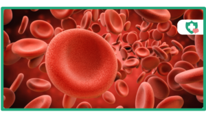 Mounjaro Blood Clot Risk