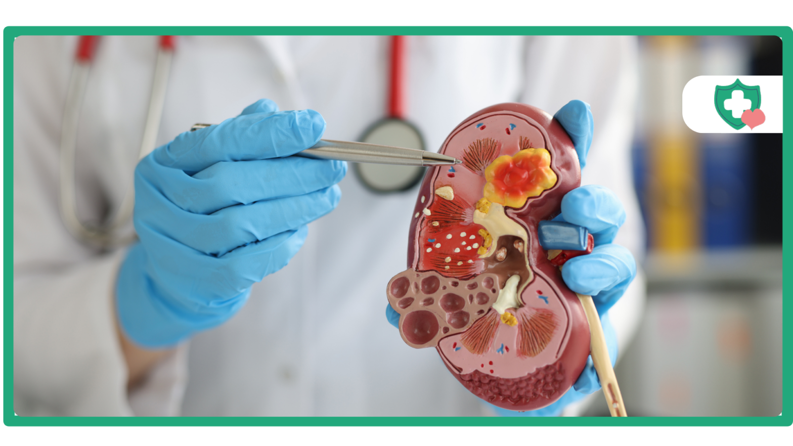 Mounjaro Kidney Effects Safety Information